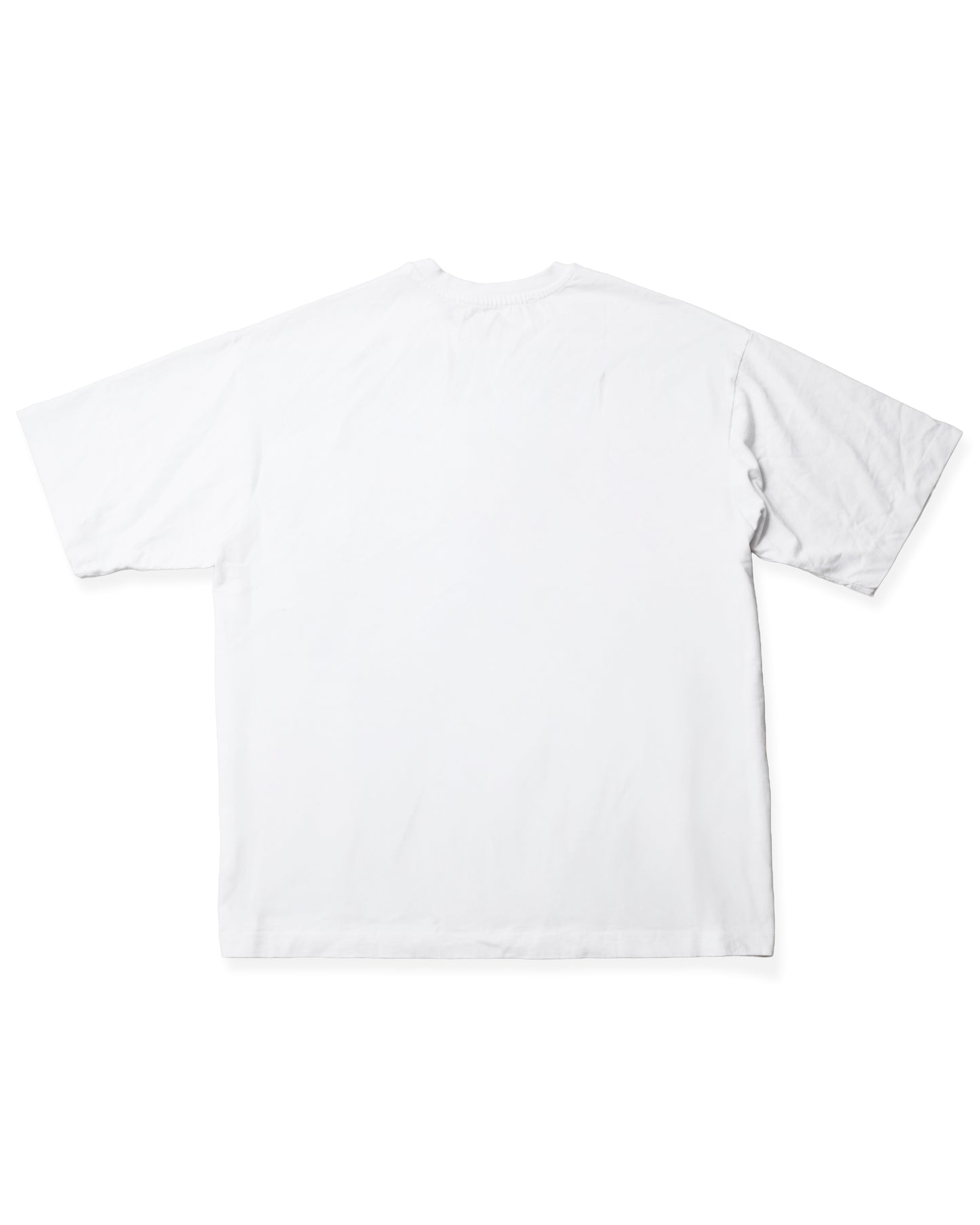 FUJI FACE TEE - TAPE WHITE